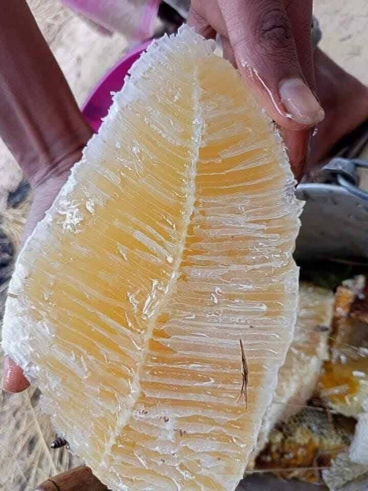 মধু ও ঘি