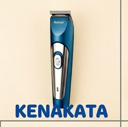 Kemei KM-1251
