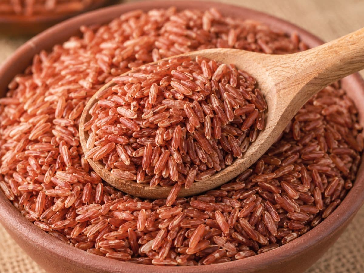 đž āϞāĻžāϞ āĻāĻžāϞ (Red Rice)