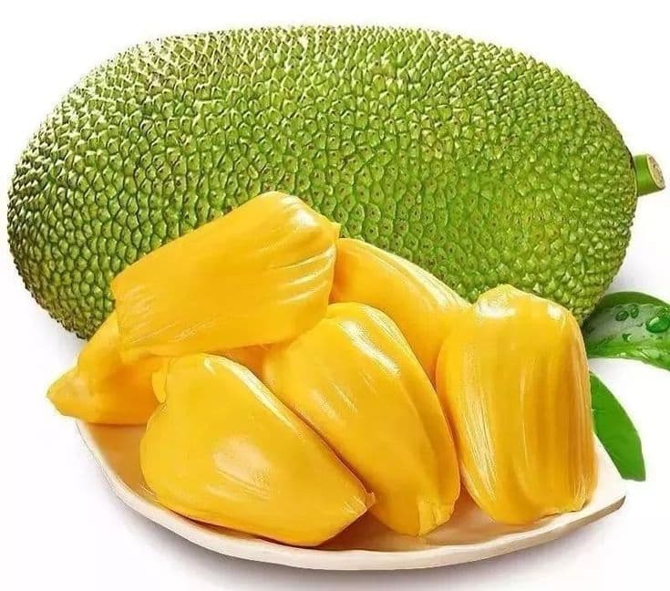 đŋ āĻā§āϰāĻžāĻŽā§āϝ āĻĒāĻŖā§āϝ â āĻāĻžāĻāĻāĻŋ āĻāĻžāĻāĻ āĻžāϞ đŋ