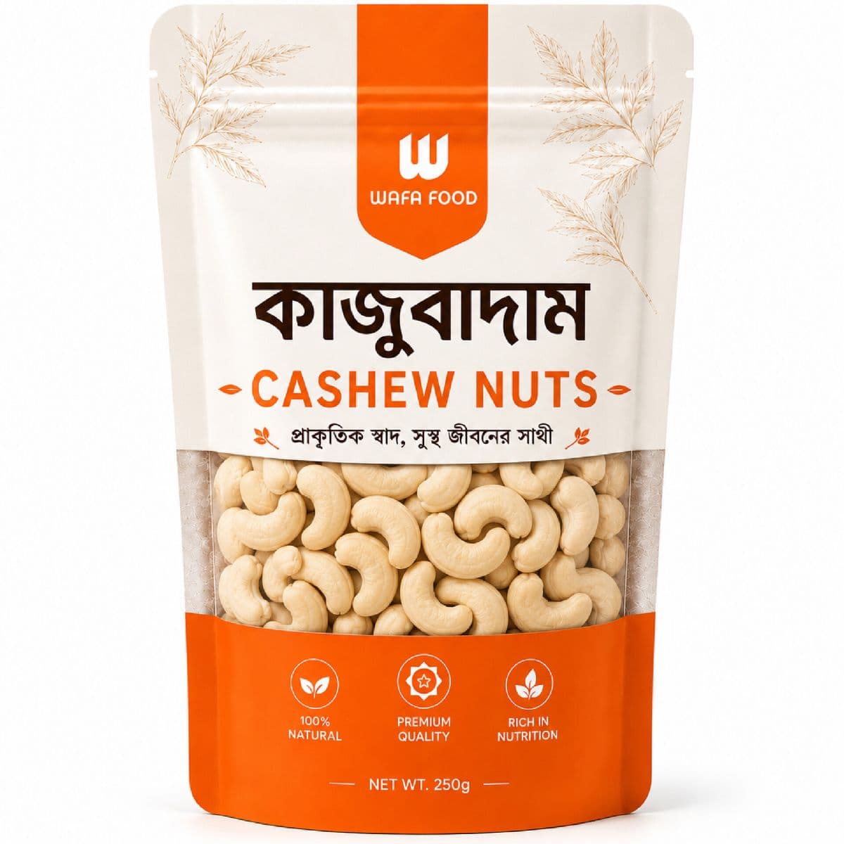 Cashew Nut